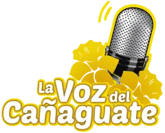 La Voz Del Cañaguate 860 AM logo