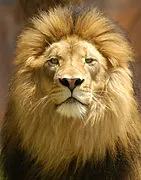 MIDDAY MEDITATION RADIO logo