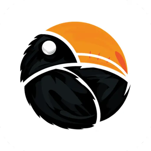 Big1 logo