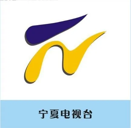 宁夏新闻广播 logo