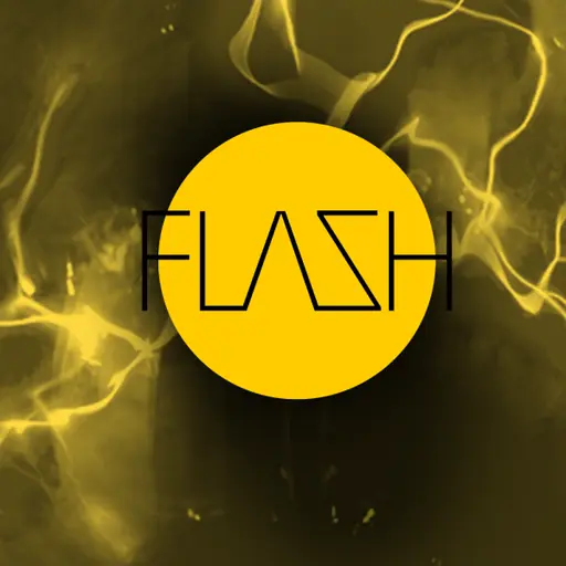 egoFM FLASH (aac) logo