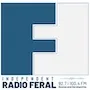 Radio Feral Kalesija logo