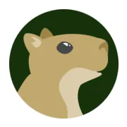 Robin Hood Radio - WHDD 91.9 FM logo