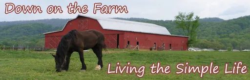 Ritter Farms Internet Radio logo