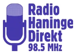 Radio Haninge logo