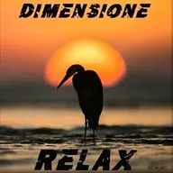 RADIO DIMENSIONE RELAX logo