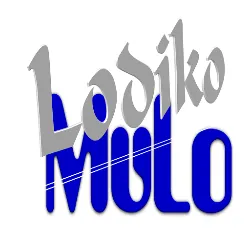 Lodiko MuLo logo