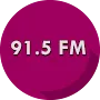 91.5 FM Panzer Radio Station logo