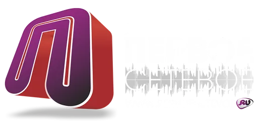 Первое Сетевое logo