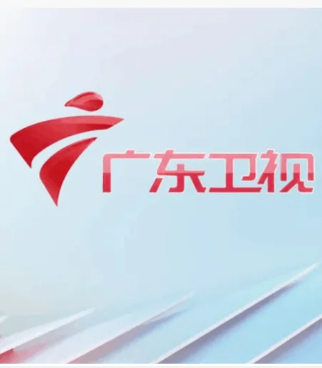 广东卫视伴音 logo