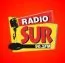 Radio Sur 90.1 FM logo