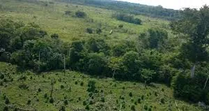 Villa Digital Sterio logo